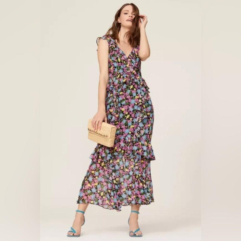 Amur EVITA Multicolor Floral Silk Chiffon Ruffle Maxi Dress Size 12